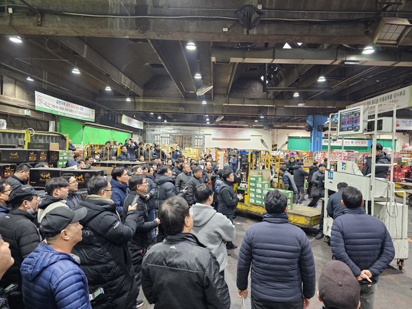 가락시장 중앙청과, 2024 청룡해 여는 초매식 가져