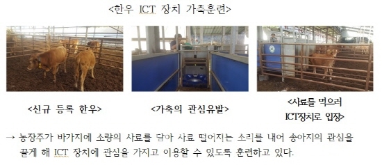 스마트 팜, 가축도 충분한 적응 훈련 필요