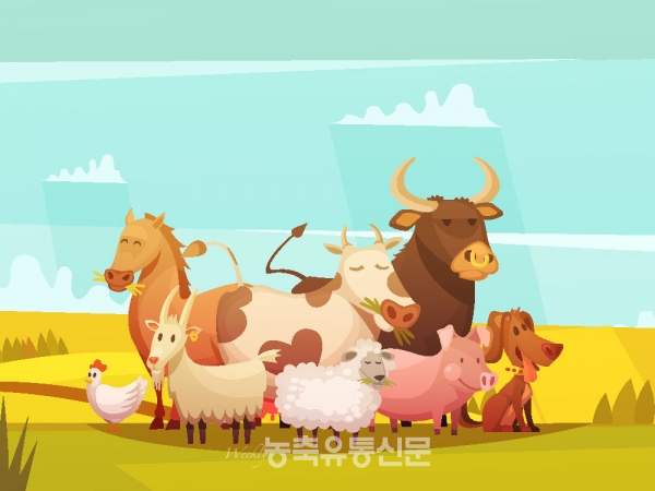 [5월 축산 관측] 한우·돼지·육계 생산잠재력 높아