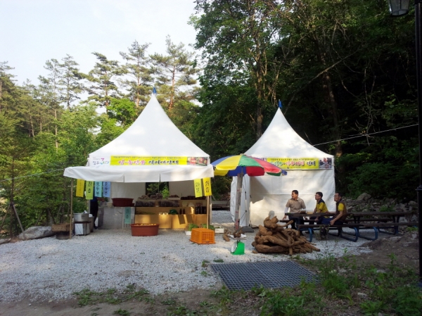 국립자연휴양림관리소, 2018 숲 치유 장터 개장