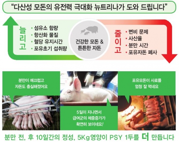 카길뉴트리나, 모돈 전환기 영양관리가 수익성 좌우