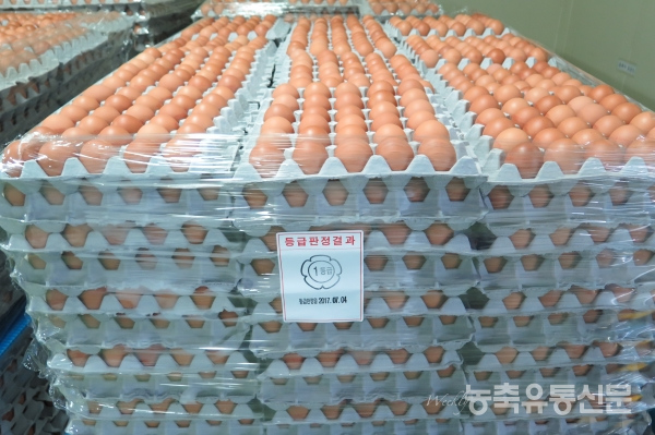 계란 종이난좌 부족…생산업체도 생산량 늘리기 어렵다