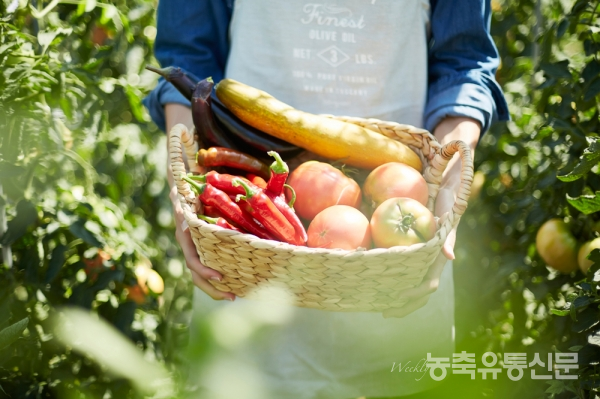 [농림축산식품부 공동기획시리즈] 공공급식에 국내산 농산물 공급가능