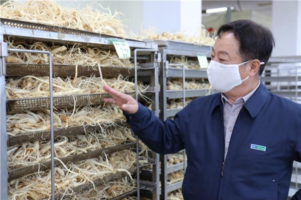 약초의 황제 인삼… 국내산 맛·품질에 전 세계가 러브콜