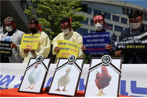끝 모를 정부 억압·규제에 가금 산업 기반 무너져