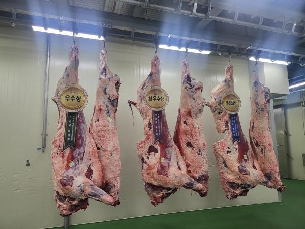 제40회 으뜸한우 경진대회 고급육 품평회 심사
