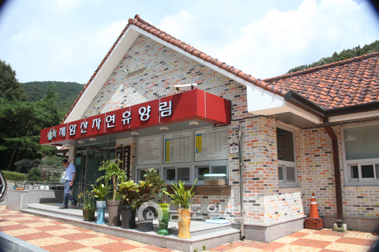 그 곳에 가면 힐링(5) 모험, 휴양, 힐링1번지 보성군 제암산 자연휴양림