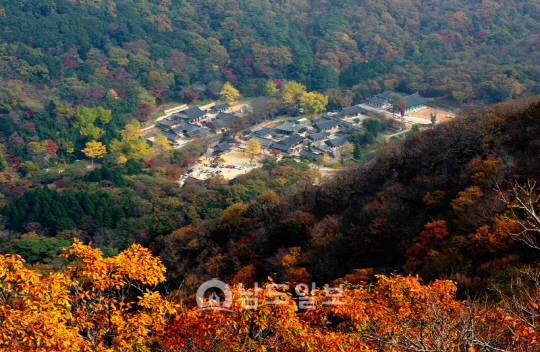 오색빛깔 단풍, 해남 두륜산으로