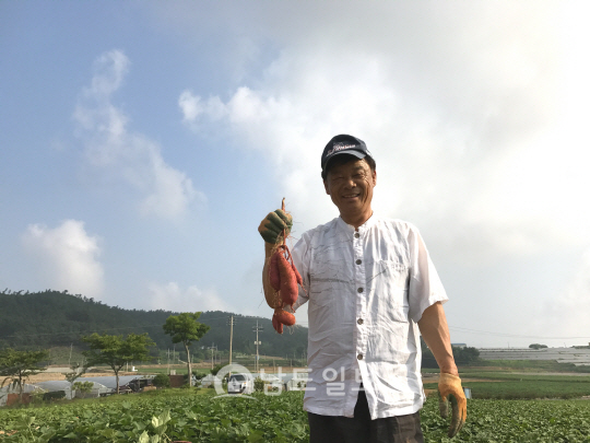 무안서 행복한 고구마로 연간 3억 소득 화제