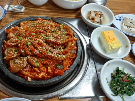 광주맛집 낙지마을-원기회복 탁월…낙지의 매력 속으로