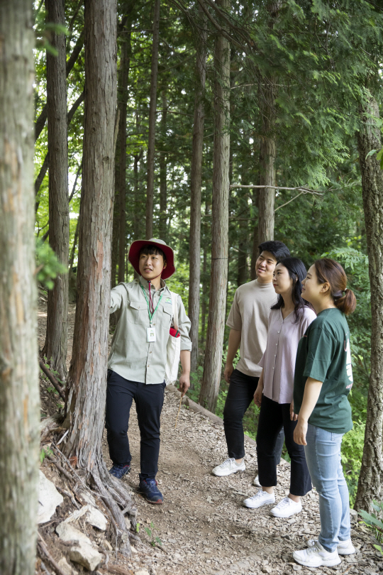 남도일보 스페셜=국립장성숲체원을 가다