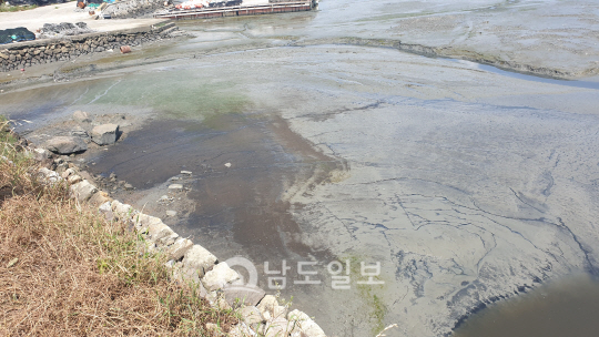 여수시 축산분뇨 무단방류에도 손 놓고 있어