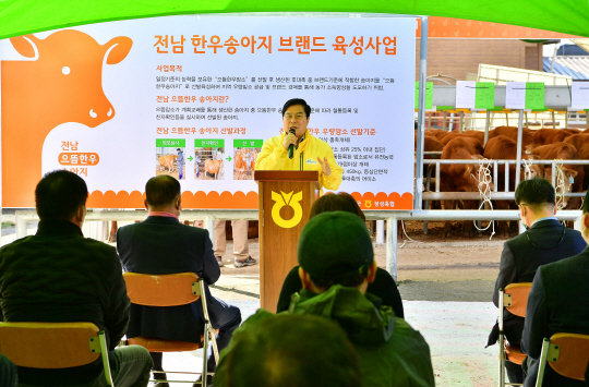 명품 한우 생산지 장성 송아지 육성 강화