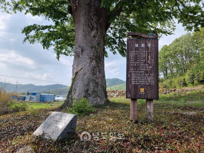 [118] 충효도 못다하고 가는 길 서러워라… 학자 의병장 후손 가문