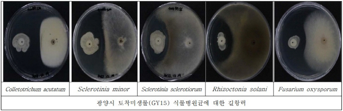 광양시, 지역 특화 미생물산업 정착·선도 앞장