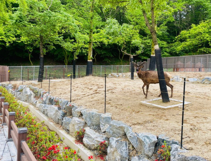 광주 우치동물원, 새단장 사슴사 재개장…철조망 없애고 함정 설치