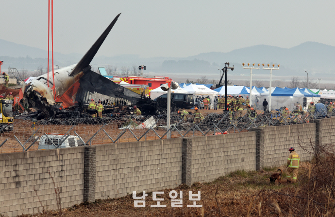 수색견 동원된 무안 제주항공 여객기 참사 현장