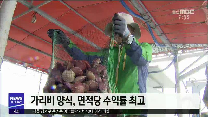 <경남>남해안 수산물 고수온*태풍에 희비 엇갈려