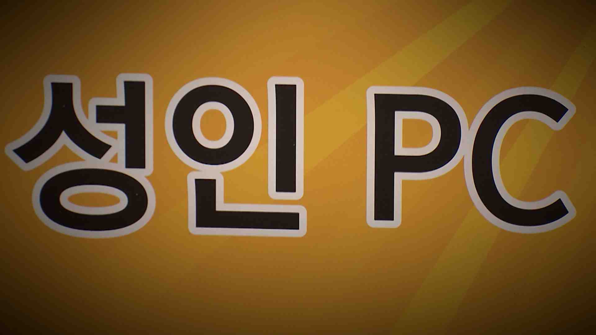 성인 PC방에 도박사이트 설치해 운영 실형