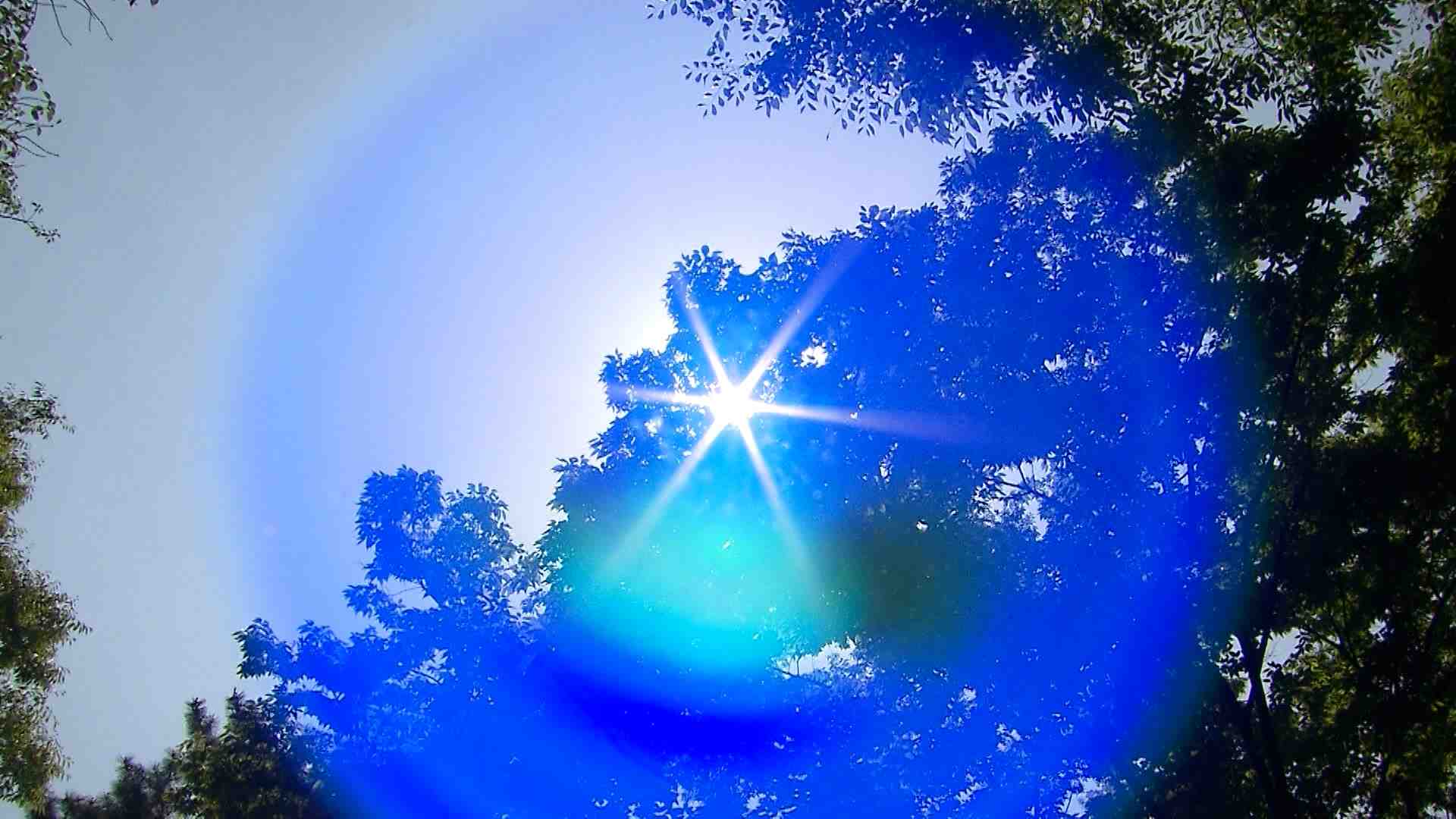 울산시, 지역 기업체에 무더위 휴식제 참여 당부