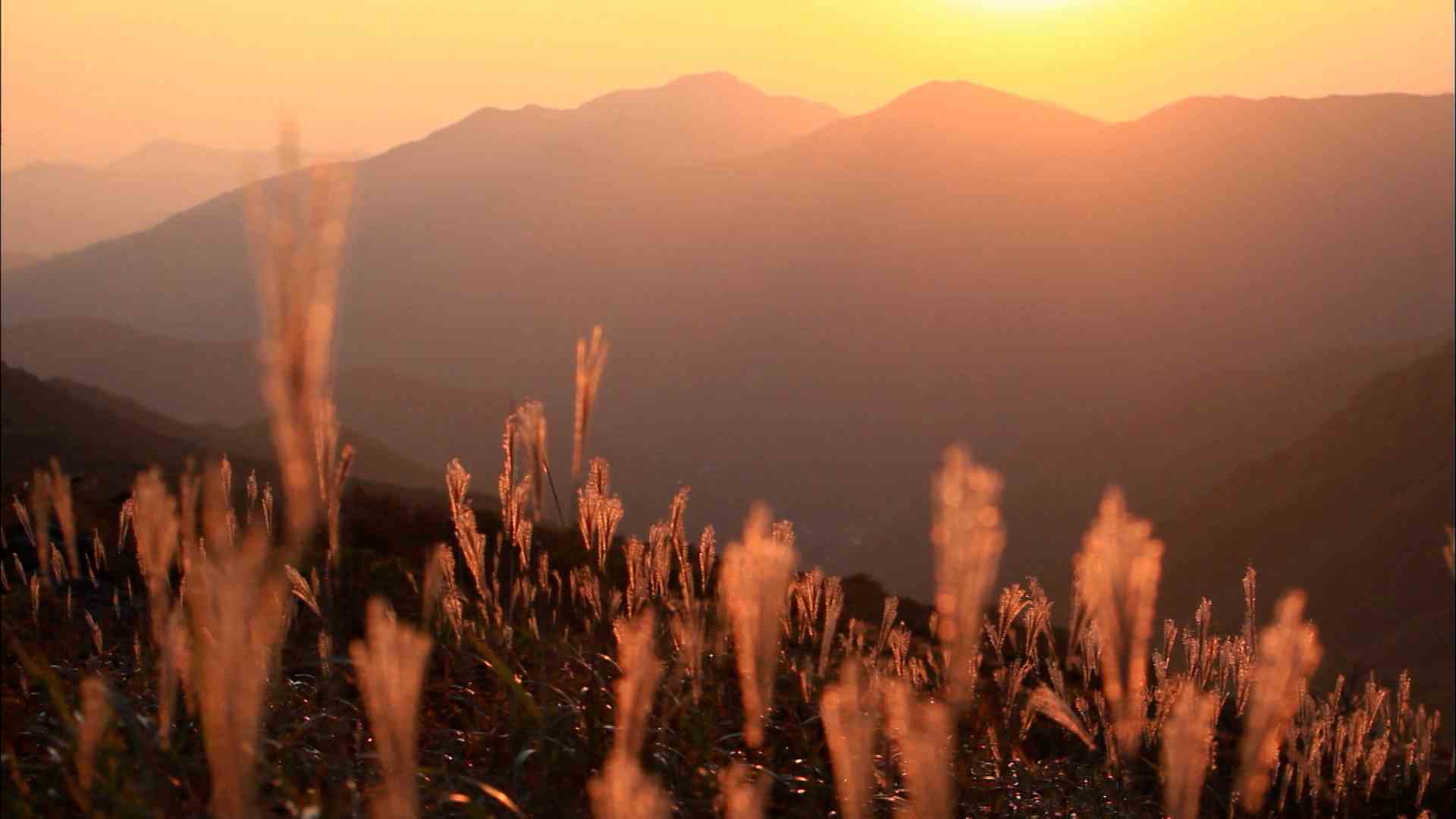 태화강·대왕암·영남알프스‥ 한국관광 100선 선정