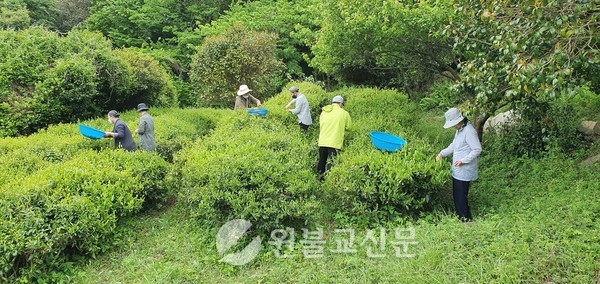 좋은 차는 그냥 만들어지지 않는다