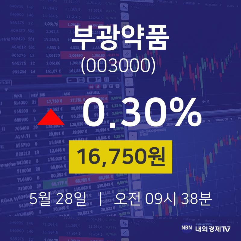주식주가 부광약품 주가 28일  현재 16750원