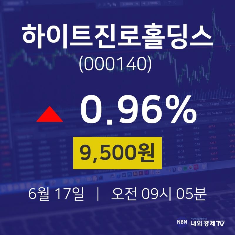 6월 17일 하이트진로홀딩스 주식종목검색 9500원  0.96%