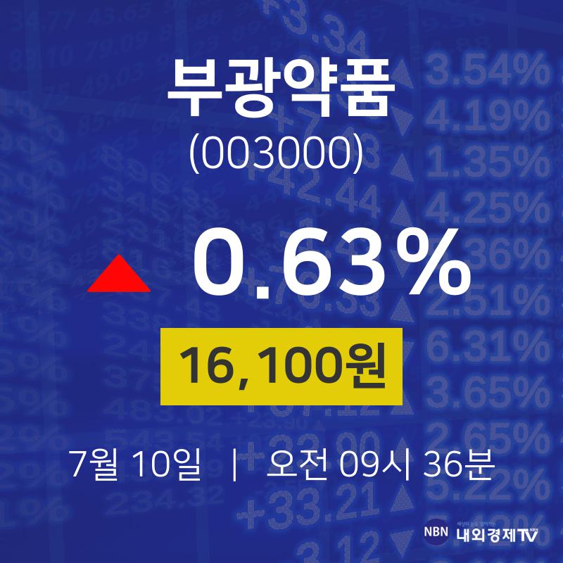주식종목검색 부광약품 주가 10일  현재 16100원 
