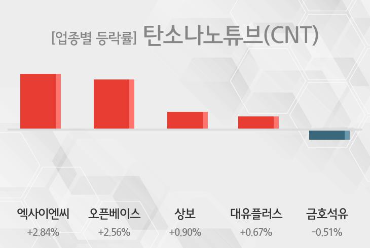 [탄소나노튜브(CNT) 테마주 시황-마감] 엑사이엔씨,오픈베이스 등이 상승세 주도
