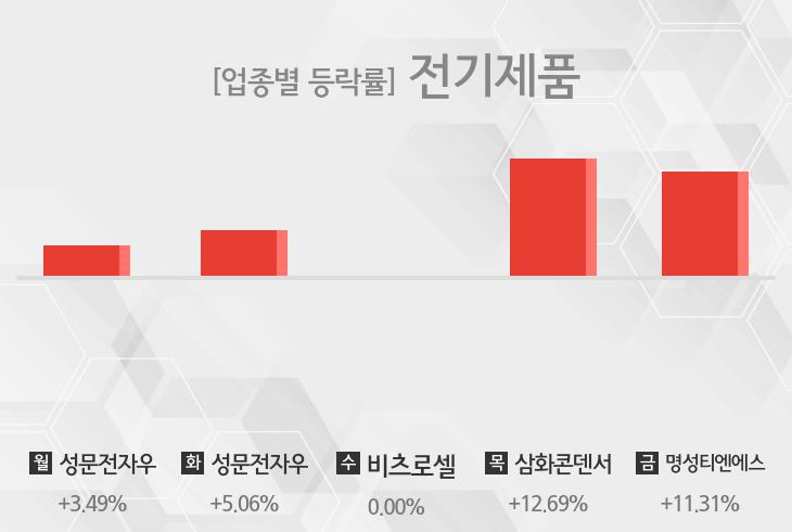 [주간 전기제품 업종 리포트] 1월 2주차 성문전자우, 비츠로셀, 삼화콘덴서, 명성티엔에스 등 상승
