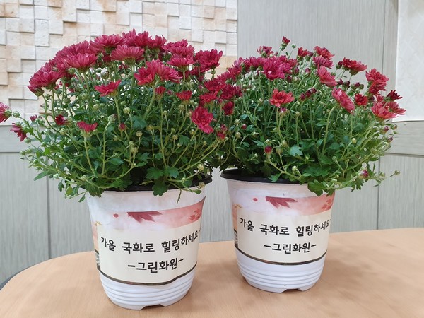 동두천시 그린화원, 불현동 취약계층에 국화 화분 후원