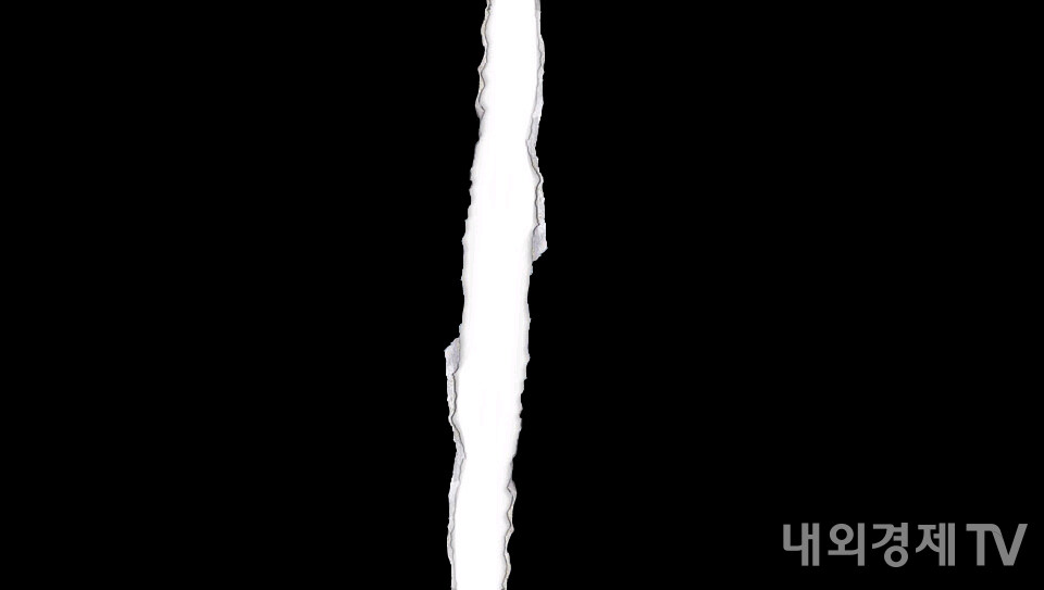 [기획] 백서(白書)의 모순, 누가 투기를 부추기나