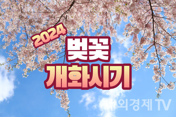 미리보는 2024 벚꽃 개화시기는 언제?