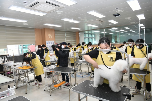 [K-사학을 찾아] ③ 한국펫고등학교 : K-Pet 교육을 선도하는 글로벌 인재 육성