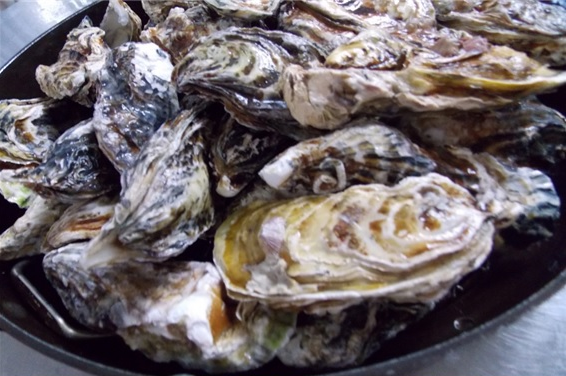 거제도에 굴 맛집이 많은 이유는? ... 굴양식장 산재해 신선한 식재료 수급 수월