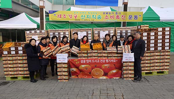관악농협, 새콤달콤. 감귤 많이 드세요