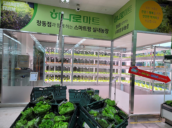 생산-소비 한번에.. 마트로 들어온 스마트팜
