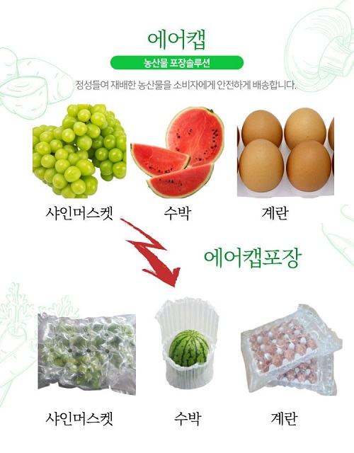파낙코리아, 신선식품 택배포장 전용 에어완충재 출시