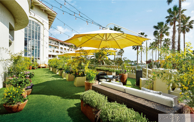 [#jeju_hotelshilla] Scent of The Shilla JEJU