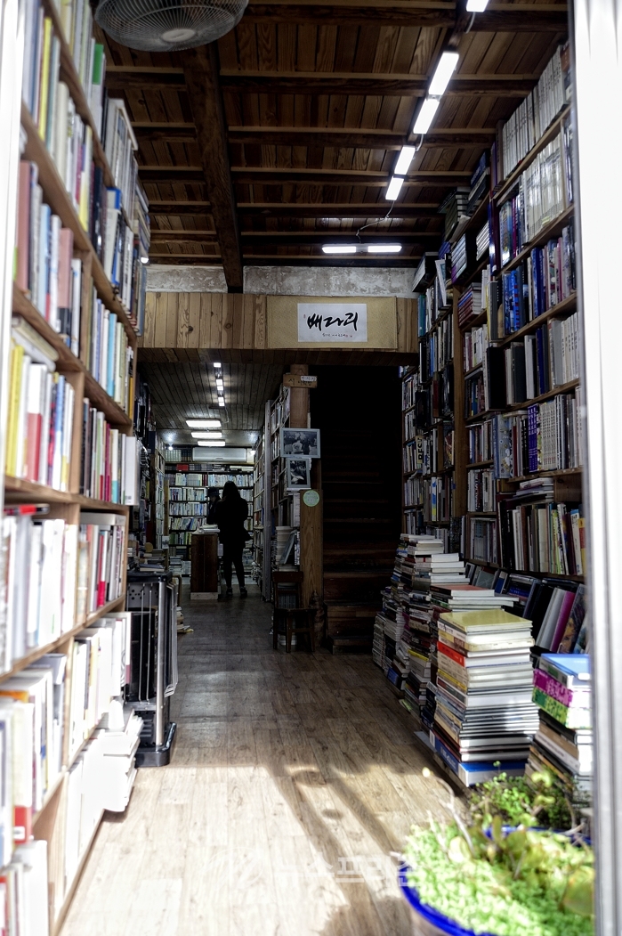 도깨비 촬영지인 동구 금곡동(금곡동 달동네) 배다리 헌책방거리..