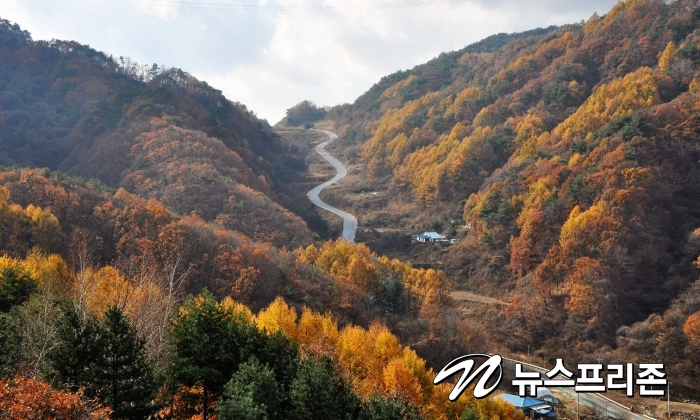 북부산림청, 국유림 명품 조망점 발굴…관광 명소화