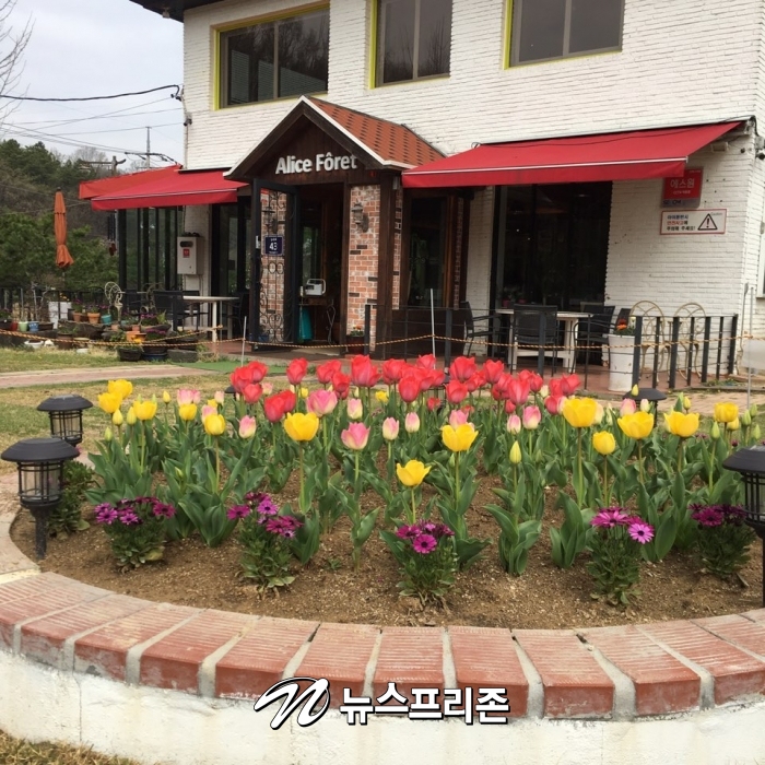 [인터뷰] 티 스타일리스트(Tea Stylist) 최유나