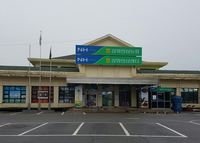 강화인삼농협 조합장 3.13 선거 무자격 조합원 투표(?)