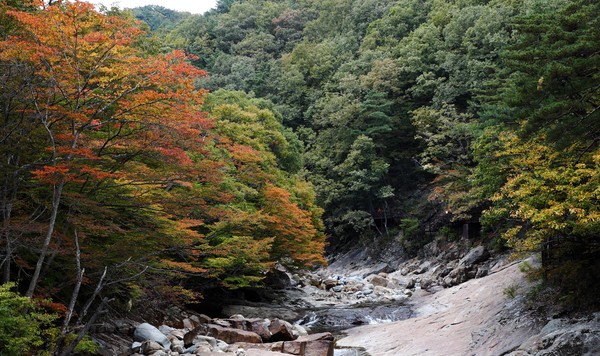 단풍의 계절을 맞은 산청 대원사 계곡길