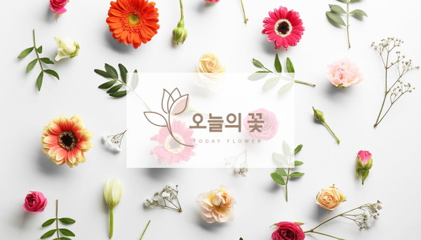 꽃배달도 새벽배송으로 받는다 화훼시장 온라인 플랫폼 오늘의꽃 런칭