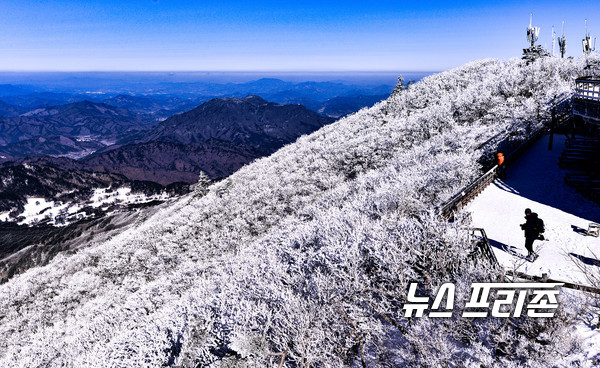 한파에도 돋보이는 덕유산 눈꽃