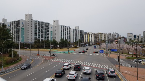 순천시, 해룡 상삼사거리 교통섬에 지방재정의 숲 조성