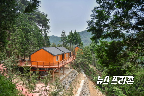 [기획특집] 변화된 하동 준비된 100년 미래…22C 대한민국 알프스 하동