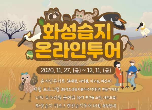 화성시,  도요새와 화성습지 온라인투어함께해도요!